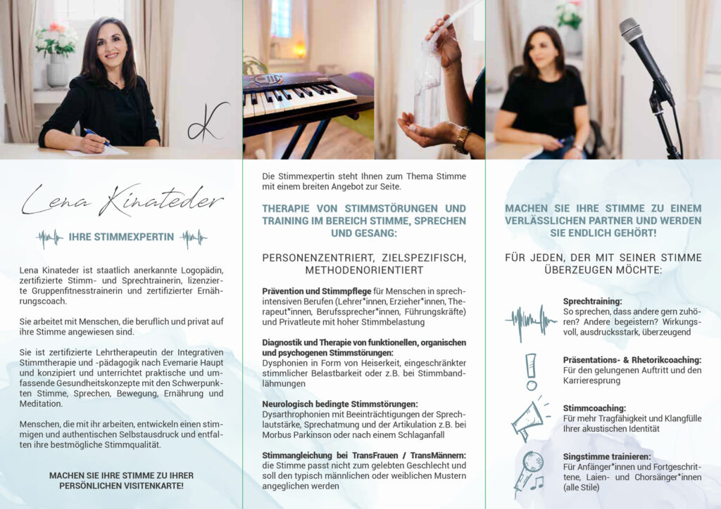 Einfach_mehr_Stimme_Flyer_-2